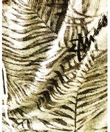 STUSSY | Tシャツ/カットソー