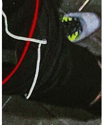 Bershka | その他パンツ