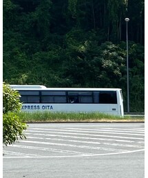 Champion | Tシャツ/カットソー