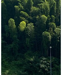 NEW ERA | キャップ