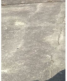 #カジュアル | その他