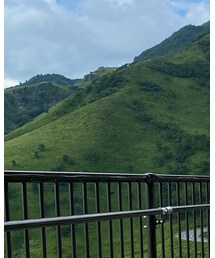 ALCHEMIST | Tシャツ/カットソー