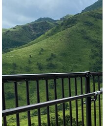 ALCHEMIST | Tシャツ/カットソー