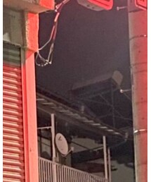 AIME LEON DORE | ニット/セーター