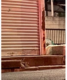 THE CASUAL | その他