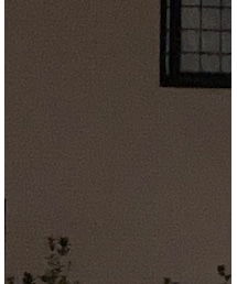 AIME LEON DORE | Tシャツ/カットソー