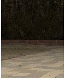 Jordan | スニーカー