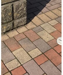 THE CASUAL | その他