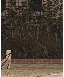 STREET | その他