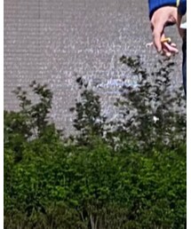 rag & bone | デニムパンツ