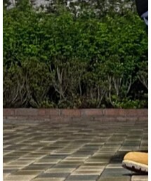 Supreme  | ブーツ