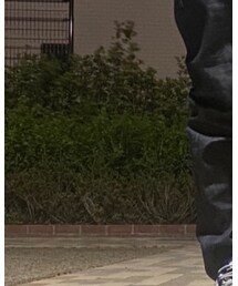 THE CASUAL | その他