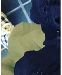 LOWRYS FARM | パンツ