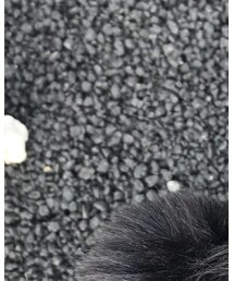 フレンチブルドッグ | その他