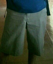 Dickies | その他パンツ