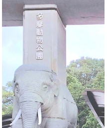多摩動物公園 | その他