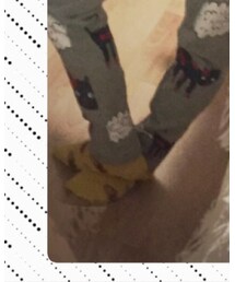 tutuanna | ソックス/靴下