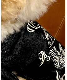 DIESEL | ペットウェア