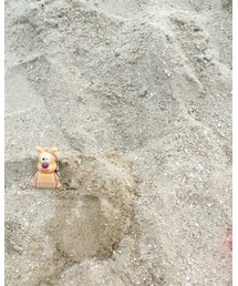 めいけんチーズ | おもちゃ