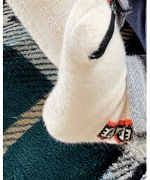 Birthday | ソックス/靴下