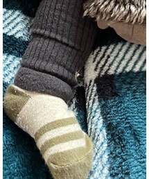 Birthday | ソックス/靴下