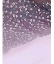 PAGEBOY | ワンピース