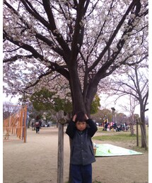 サクラサク🌸 | その他