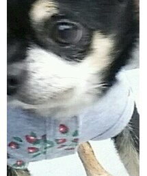 OLIVE des OLIVE | パーカー