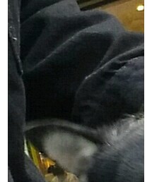 TOMMY | デニムジャケット