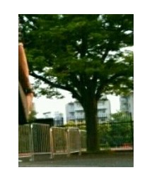 Paul Smith | クラッチバッグ