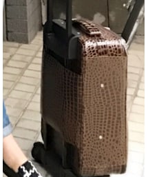 MERCURYDUO | スーツケース/キャリーバッグ