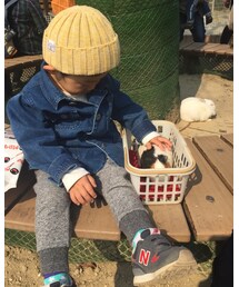 モルモット☺︎ | その他