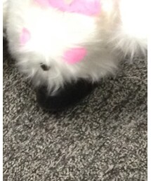 h.NAOTO×キャンデー&プリン | ブーツ