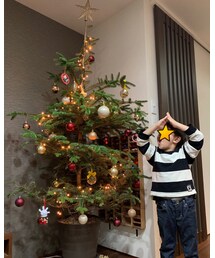 ✨クリスマスツリー✨ | ツリー出したよ😊(その他)