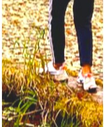 NIKE | スニーカー