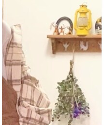 ZADIG&VOLTAIRE | Tシャツ/カットソー