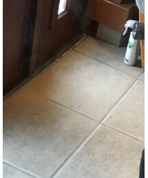 靴下屋 | ソックス/靴下