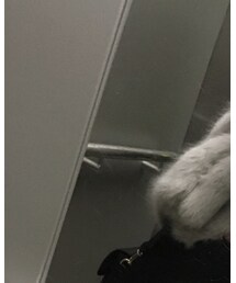 Alpha Industries | ジャケット/アウター