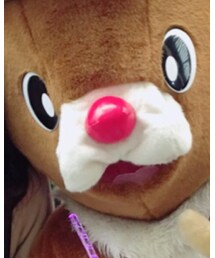 トナカイ | その他