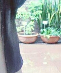 EDWIN | デニムジャケット