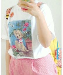 Panamaboy | Tシャツ/カットソー