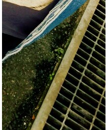 Reebok | スニーカー