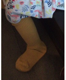 靴下屋 | タイツ/ストッキング