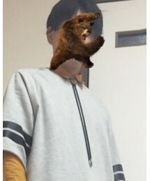 WEGO | アクセサリー