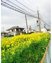 お花さん①♡ | その他