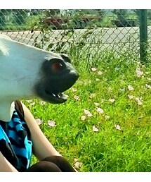 HEY-SMITH | フェイスタオル