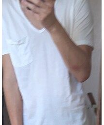 AMERICAN RAG CIE | Tシャツ/カットソー