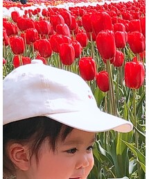 petit main | キャップ