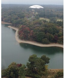 観覧車からの風景🍂 | その他