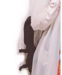 Champion | バックパック/リュック